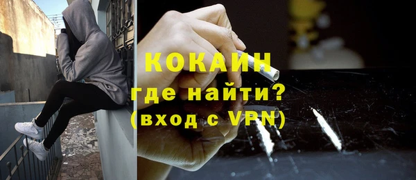 шишки Лагань
