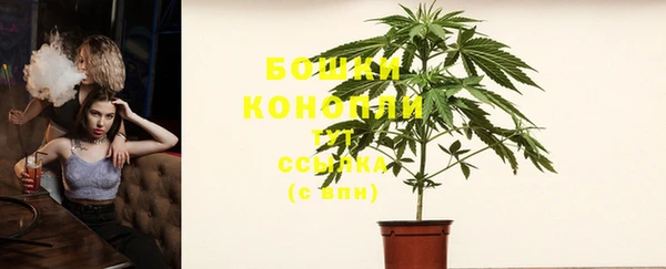 шишки Лагань