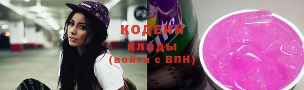 шишки Лагань