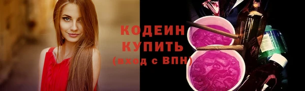 шишки Лагань