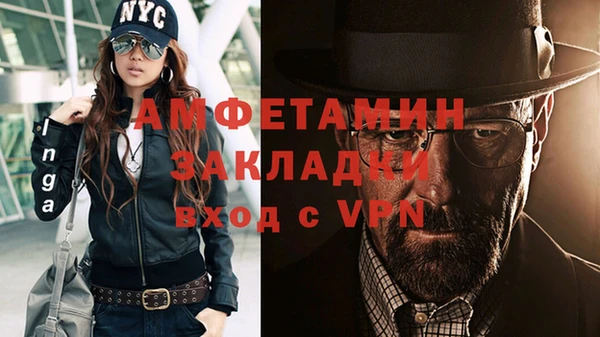 шишки Лагань