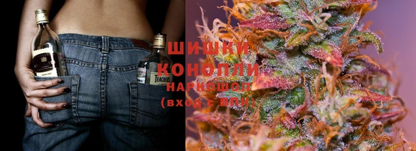 шишки Лагань